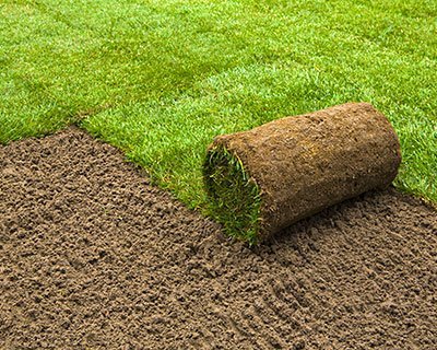 sod services 