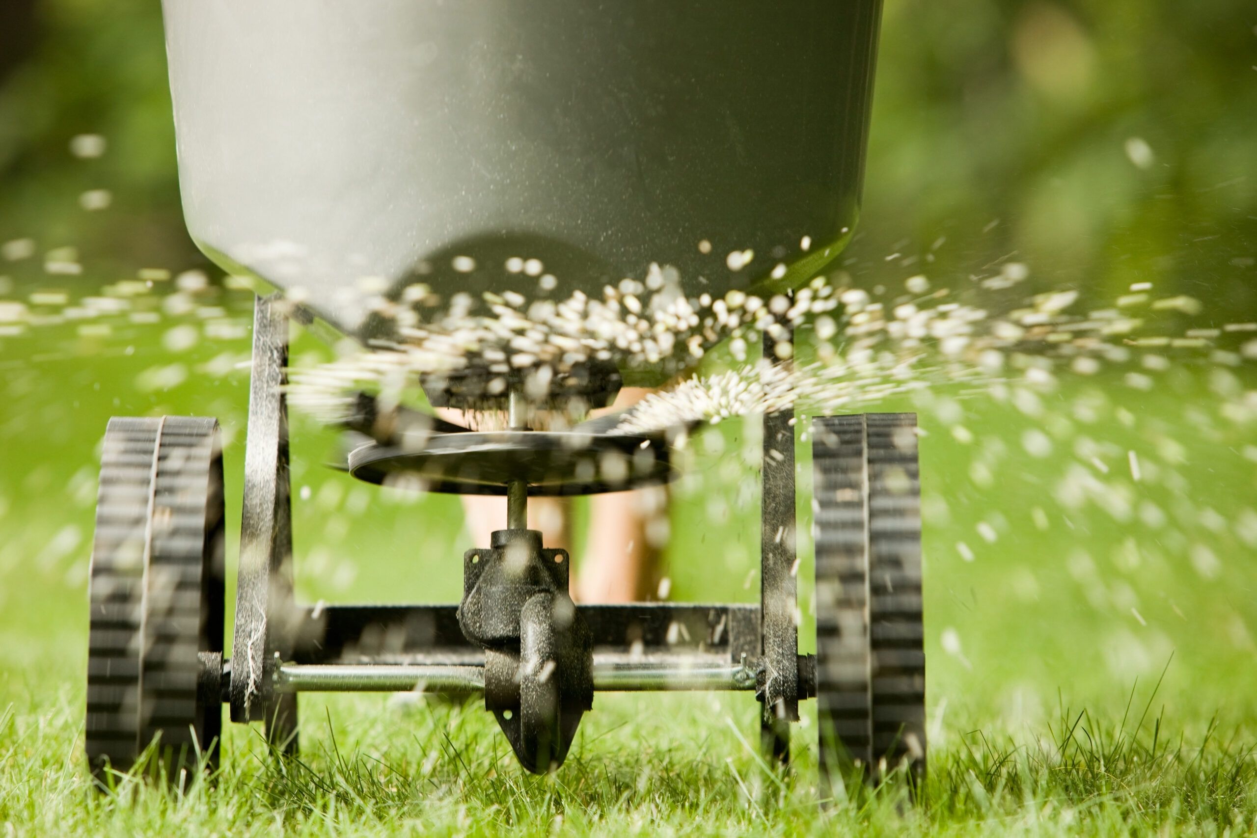 Fertilizing the Lawns