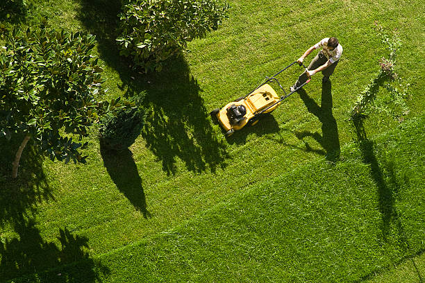 Lawn Treatments in Lebanon 