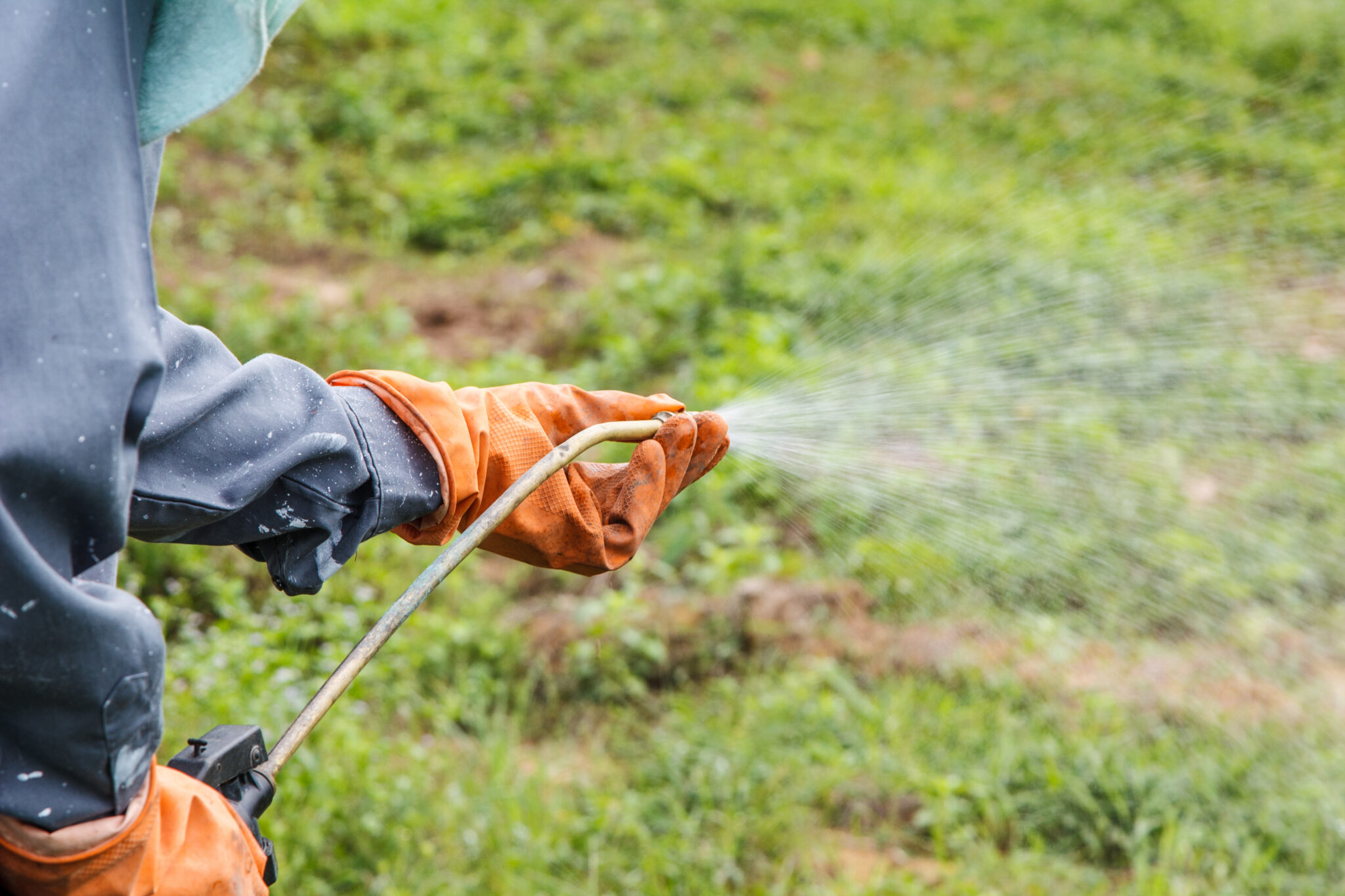 Spraying for Weed Control