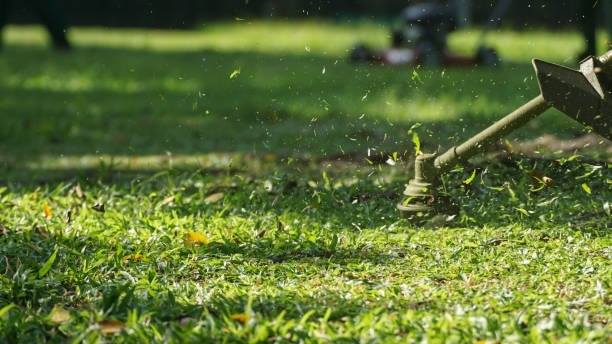 Weed Eating Contractors